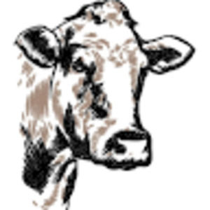 Meet your Posher, Phillip